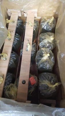 エグババター建設機械のための単気筒A10vg28水力ピストンポンプ